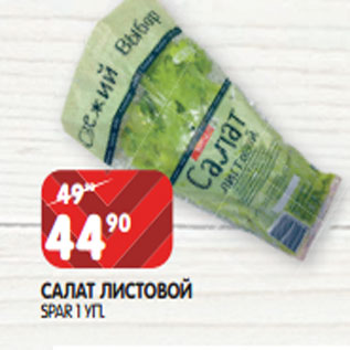 Акция - САЛАТ ЛИСТОВОЙ SPAR 1 УП.