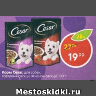 Акция - Корм для собак Cesar