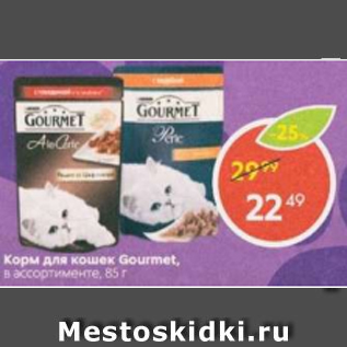 Акция - Корм для кошек Gourmet