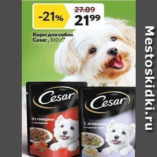 Акция - Корм для собак Cesar