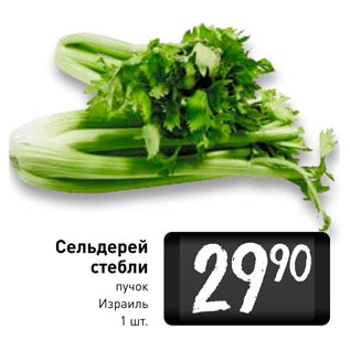 Акция - Сельдерей стебли