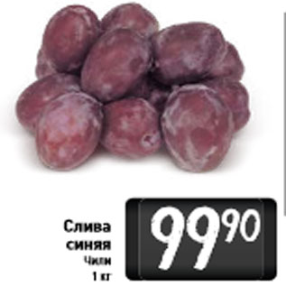 Акция - Слива синяя