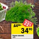 Магазин:Перекрёсток,Скидка:Укроп свежий,
100 г