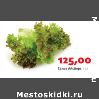 Акция - Салат Айсберг