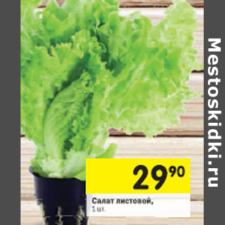 Акция - Салат листовой