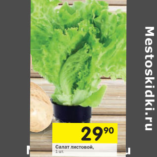 Акция - Салат листовой