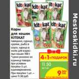 Магазин:Карусель,Скидка:Корм
для кошек
KITEKAT
