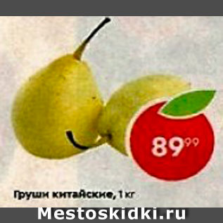 Акция - Груша Китайская