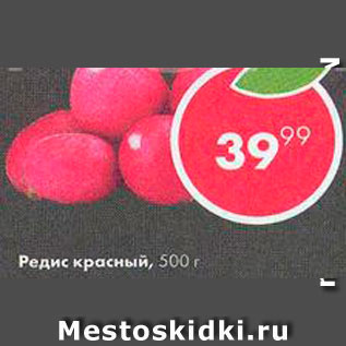 Акция - Редис красный