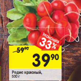 Акция - Редис красный