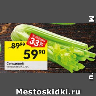 Акция - Сельдерей черешковый