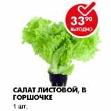Магазин:Пятёрочка,Скидка:САЛАТ ЛИСТОВОЙ, В ГОРШОЧКЕ 