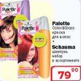 Магазин:Ситистор,Скидка:Краска для волос Palette + Шампунь Shauma