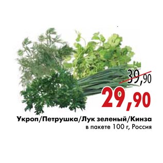 Акция - Укроп/Петрушка/Лук зеленый/Кинза