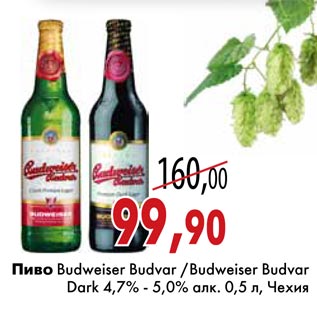 Акция - Пиво Budweiser Budvar /Budweiser Budvar