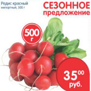 Акция - РЕДИС КРАСНЫЙ