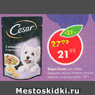 Акция - Корм для собак Cesar