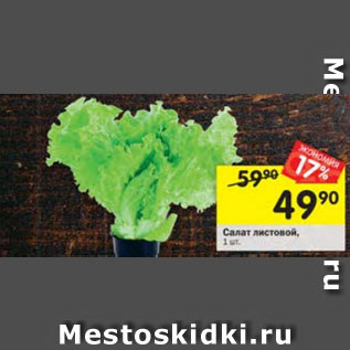 Акция - Салат листовой