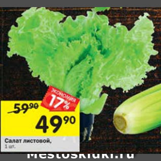 Акция - Салат листовой