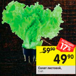 Акция - Салат листовой
