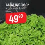 Магазин:Верный,Скидка:Салат листовой