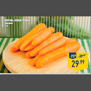 Акция - Морковь, новый урожай, весовая, 1 кг