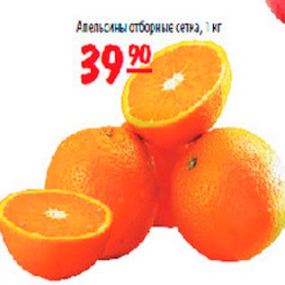 Акция - Апельсины отборные сетка