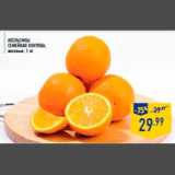 Магазин:Лента,Скидка:Апельсины
СЕМЕЙНАЯ ПОКУПКА,
весовые, 1 кг