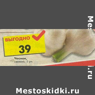 Акция - Чеснок свежий