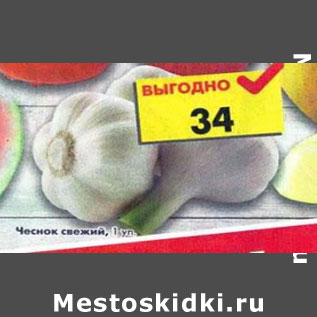 Акция - Чеснок свежий