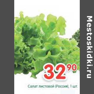 Акция - Салат листовой