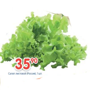 Акция - Салат листовой