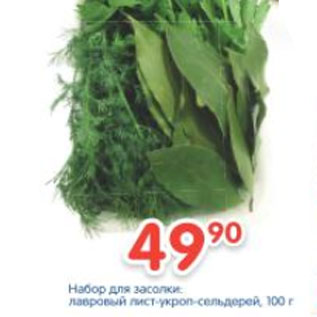 Акция - Набор для засолки