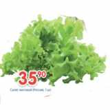 Магазин:Перекрёсток,Скидка:Салат листовой 