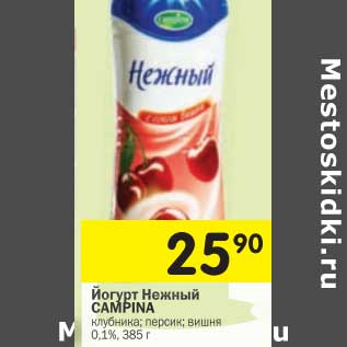 Акция - Йогурт Нежный CAMPINA