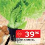 Магазин:Перекрёсток,Скидка:Салат листовой 