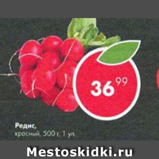Акция - редис красный