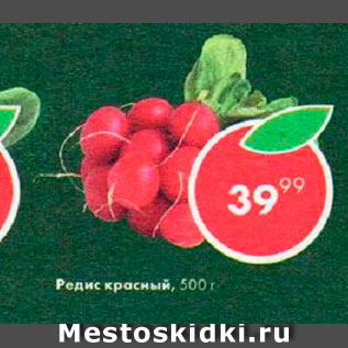 Акция - Редис красный