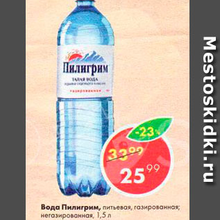 Акция - ВОДА Пилигрим