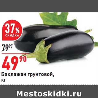 Акция - Баклажан грунтовой,