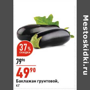 Акция - Баклажан грунтовой