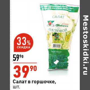 Акция - Салат в горшочке