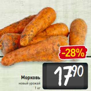 Акция - Морковь новый урожай 1 кг