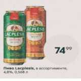 Пятёрочка Акции - Пиво Lacplesis 4,8%