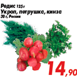Акция - Редис 125 г Укроп, петрушка, кинза