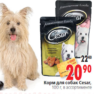 Акция - Корм для собак Cesar,