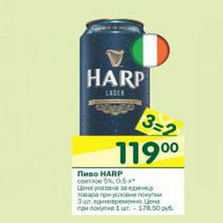 Акция - Пиво Harp