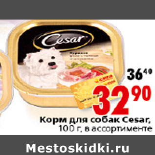 Акция - КОРМ ДЛЯ СОБАК CESAR