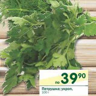 Акция - Петрушка; укроп