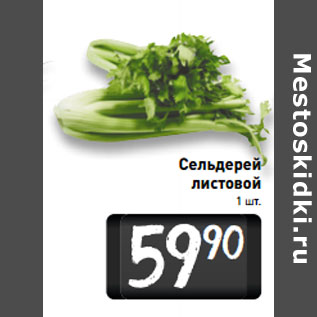 Акция - Сельдерей листовой